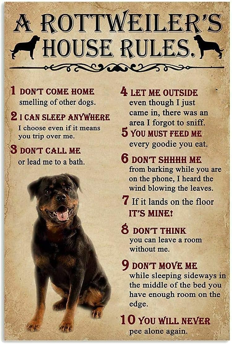 A Rottweiler;S House Rules Met - Home Office New Rules ulasan dan harga